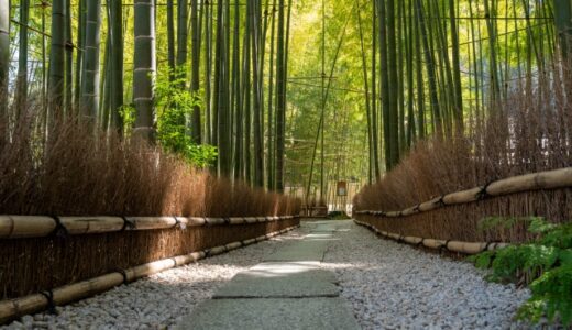 報国寺
